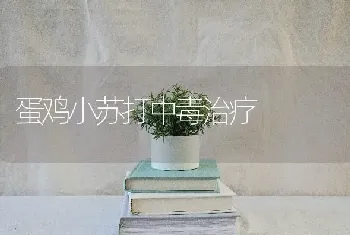 蛋鸡小苏打中毒治疗