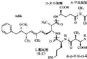 只要温度不高,蓝藻没有在短期内大量死亡,蓝藻其实没有想象中那么可怕