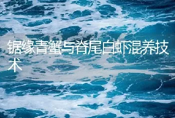 锯缘青蟹与脊尾白虾混养技术