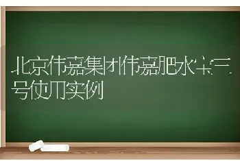 北京伟嘉集团伟嘉肥水宝三号使用实例