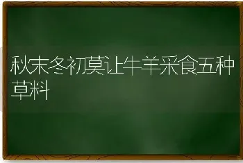 秋末冬初莫让牛羊采食五种草料