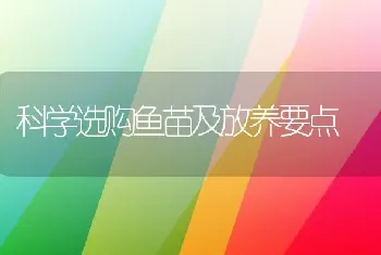 科学选购鱼苗及放养要点