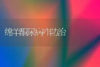 绵羊酮尿病咋防治