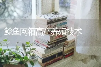 鲶鱼网箱高产养殖技术