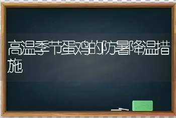 高温季节蛋鸡的防暑降温措施