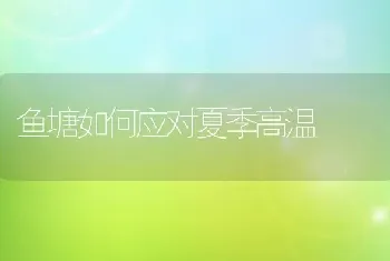 鱼塘如何应对夏季高温