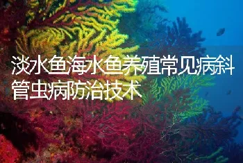 淡水鱼海水鱼养殖常见病斜管虫病防治技术