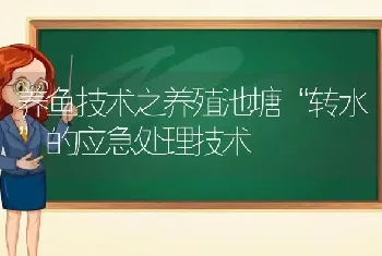 养鱼技术之养殖池塘“转水”的应急处理技术