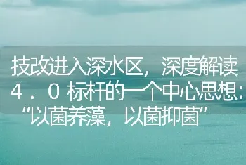 技改进入深水区,深度解读4.0标杆的一个中心思想：“以菌养藻,以菌抑菌”