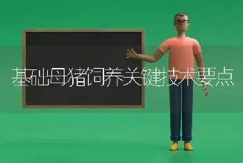 基础母猪饲养关键技术要点