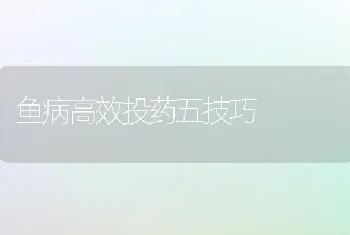 鱼病高效投药五技巧