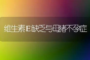 维生素Ｅ缺乏与母猪不孕症