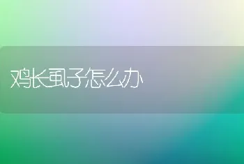 鸡长虱子怎么办