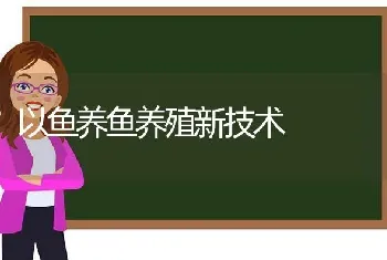 以鱼养鱼养殖新技术