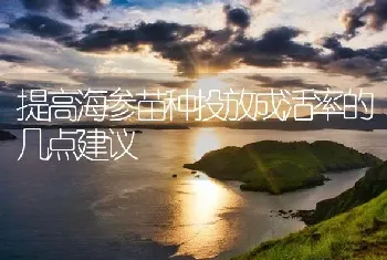 提高海参苗种投放成活率的几点建议