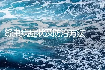 绦虫病症状及防治方法