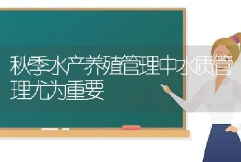 秋季水产养殖管理中水质管理尤为重要