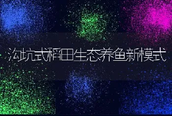 沟坑式稻田生态养鱼新模式