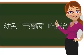 幼兔“干瘦病”咋防治