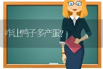 咋让鸭子多产蛋?