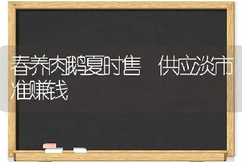 春养肉鹅夏时售 供应淡市准赚钱