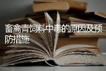 畜禽青饲料中毒的原因及预防措施