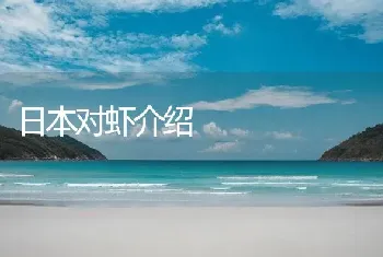 日本对虾介绍