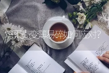 鸡蛋壳变薄易碎如何应对?