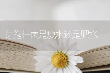 芽孢杆菌是瘦水还是肥水