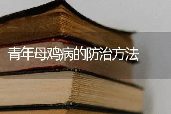 青年母鸡病的防治方法