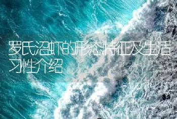 罗氏沼虾的形态特征及生活习性介绍