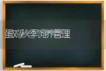 蛋鸡秋季饲养管理