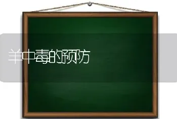 羊中毒的预防