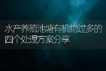 水产养殖池塘有机物过多的四个处理方案分享