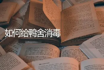 如何给鸭舍消毒