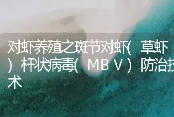 对虾养殖之斑节对虾(草虾)杆状病毒(MBV)防治技术