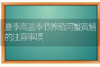 夏季高温季节养殖河蟹黄鳝的注意事项