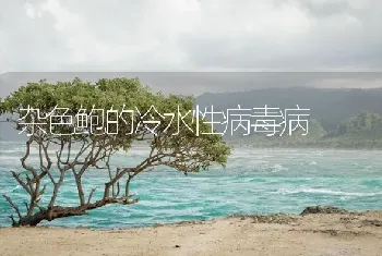 杂色鲍的冷水性病毒病