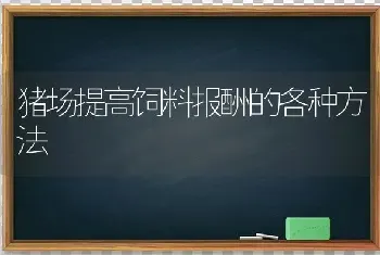 猪场提高饲料报酬的各种方法