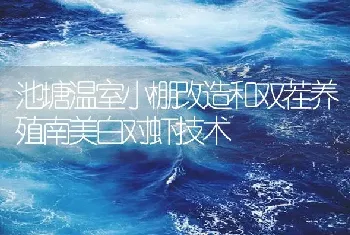 池塘温室小棚改造和双茬养殖南美白对虾技术