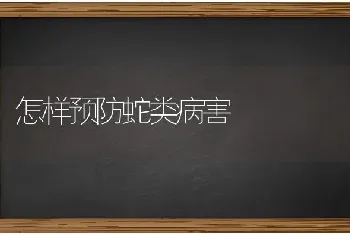 怎样预防蛇类病害