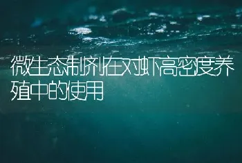 微生态制剂在对虾高密度养殖中的使用