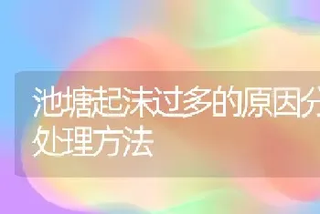 池塘起沫过多的原因分析及处理方法