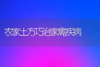 农家土方巧治家禽疾病