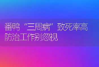 番鸭“三周病”致死率高 防治工作别忽视