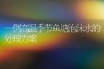 一例高温季节鱼塘泡沫水的处理方案