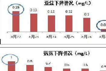 混养塘草鲫鱼浮头严重吃食不好 海联科再显神效