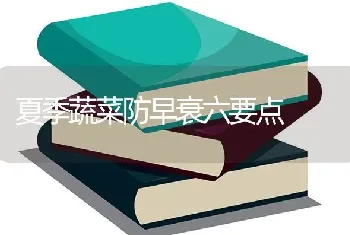 未来鸡病防控 把握正确方向