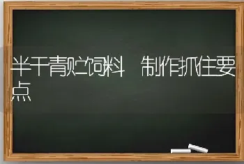 半干青贮饲料 制作抓住要点