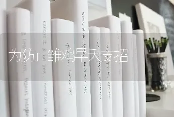 为防止雏鸡早夭支招